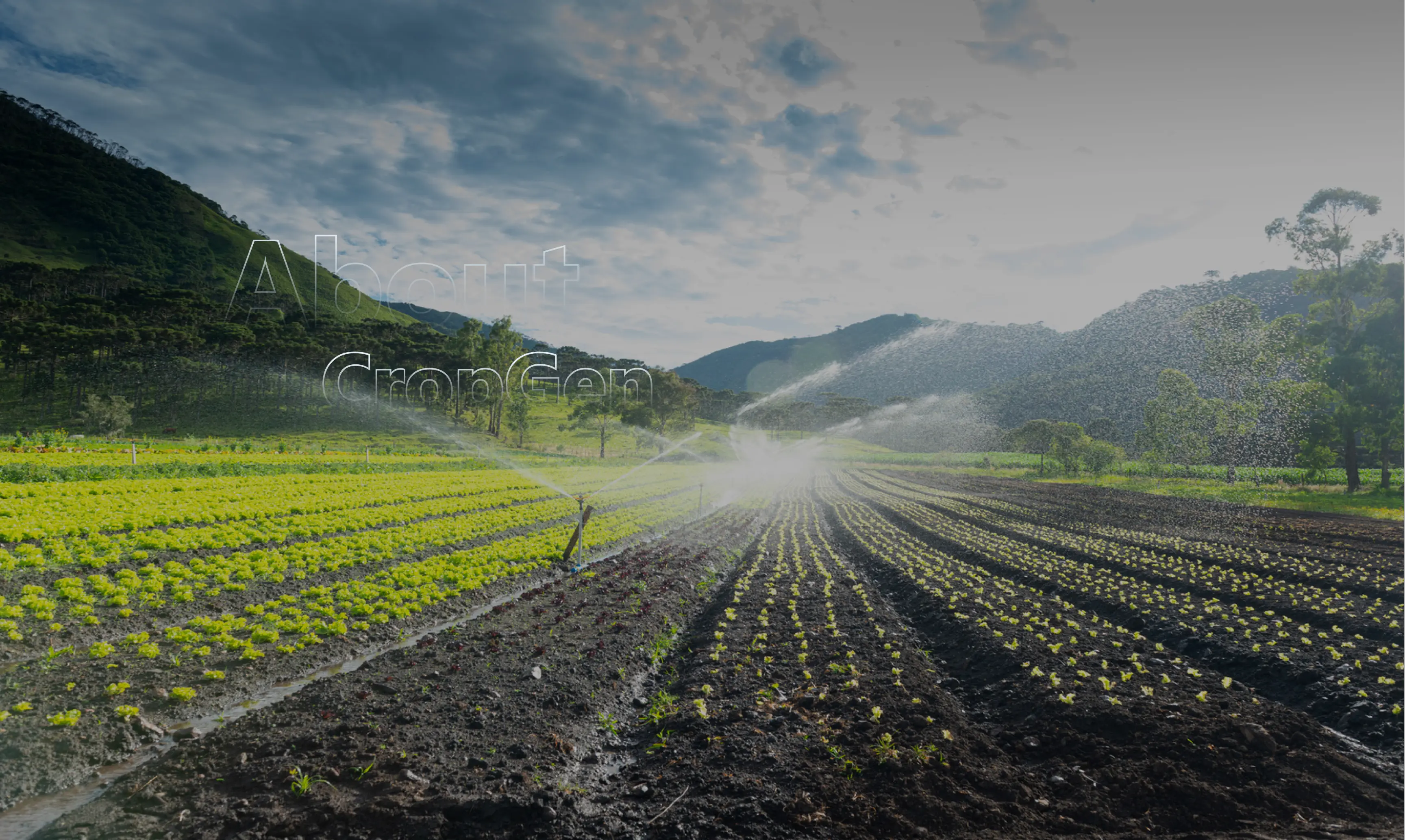 Farming Field with Sprinklers