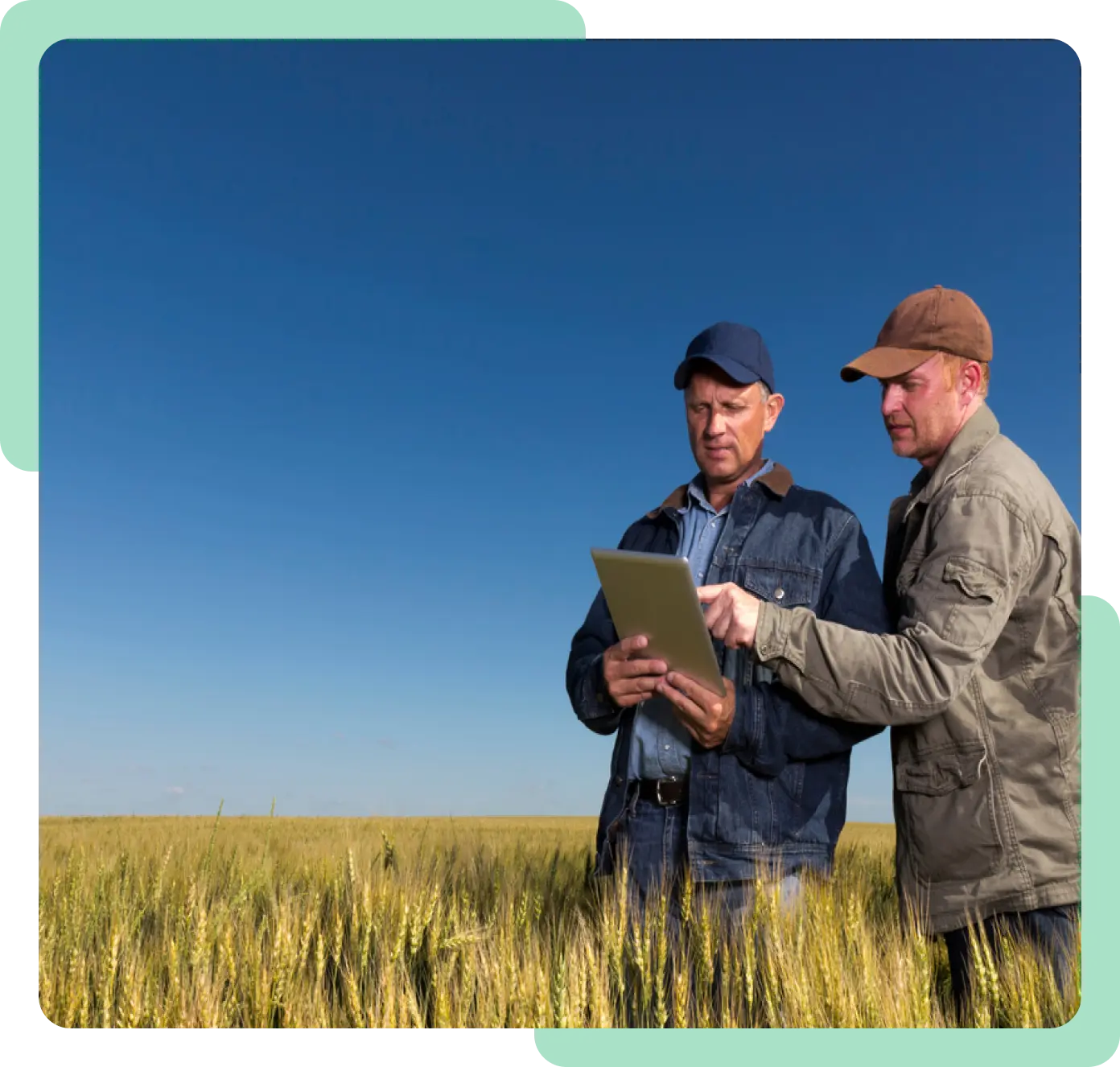 Farmers in Field