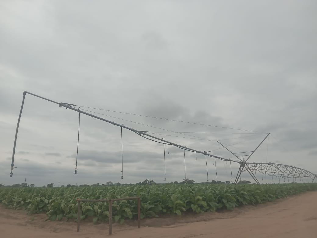 Smart farming technology