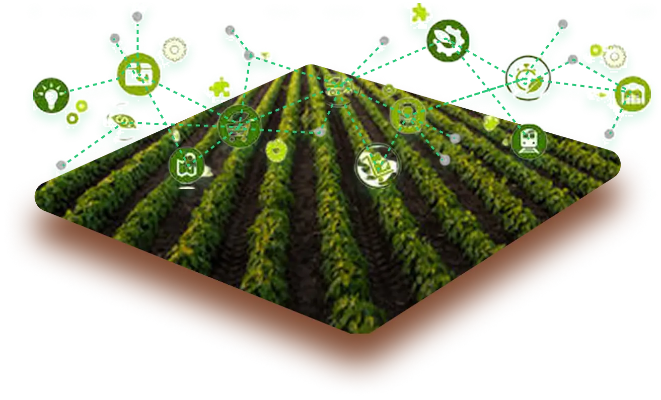Crop Health Analytics