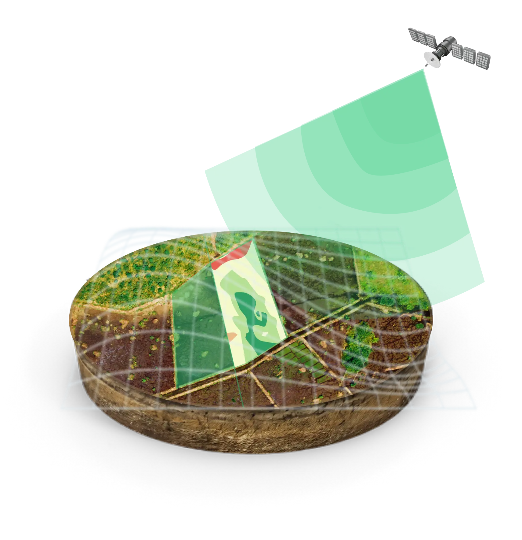 Crop Health Analytics