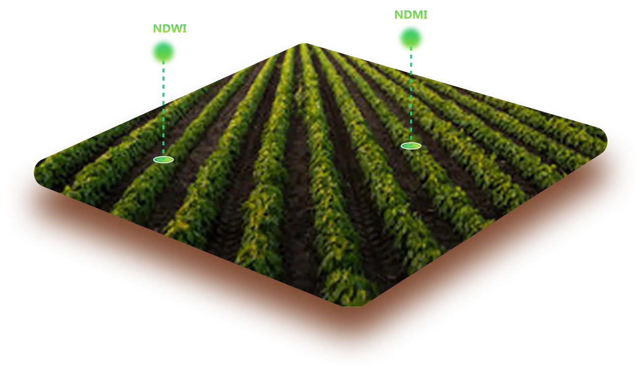 Crop gen sustainabilty water